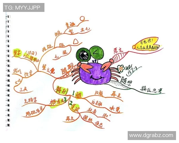 《探索游乐场玩具的奇妙世界：让孩子尽情享受欢乐时光的乐园》