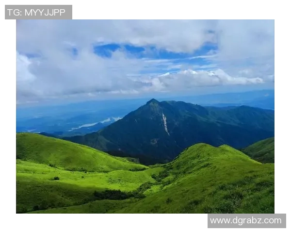 中超联赛历史回顾与发展轨迹分析：从起步到巅峰的风云历程
