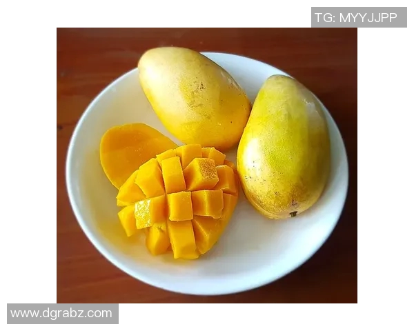 蛙泳带来的全身健康益处：提升心肺功能、增强肌肉力量与促进新陈代谢