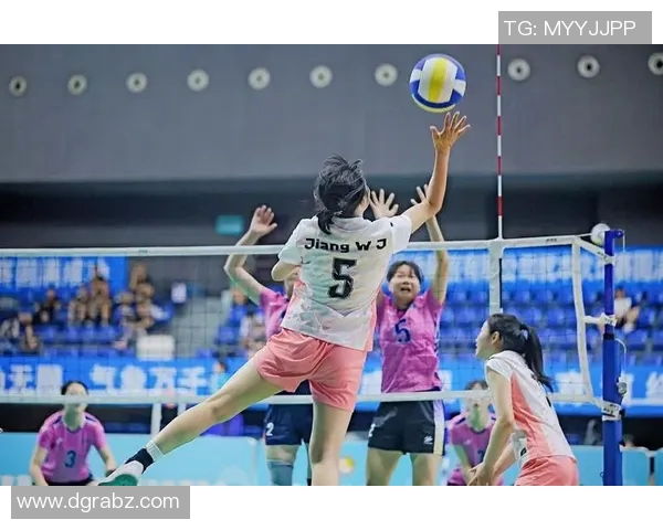 成都排球队技术争议引发热议球迷和专家各执己见探讨战术选择