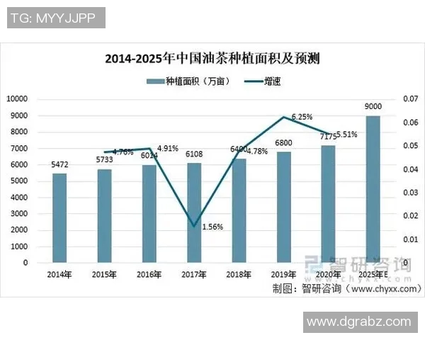 北京足球队的节奏探秘:从历史到现状的全面分析与展望 北京足球队的节奏探秘:从历史到现状的全面分析与展望
